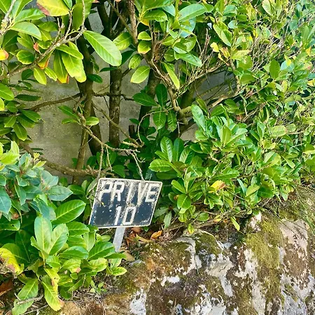 Zephyr Апартаменты Руайян