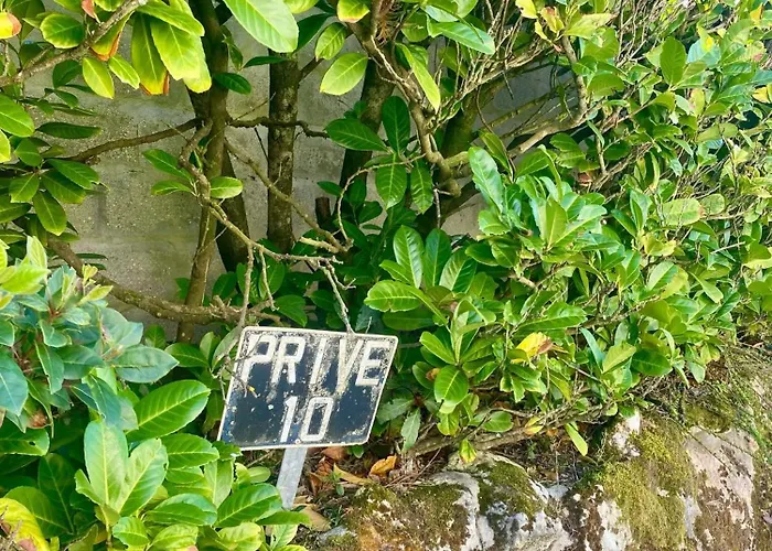 Zephyr Apartment Royan